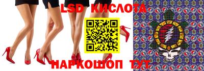 молекула духа Будённовск