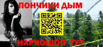молекула духа Будённовск