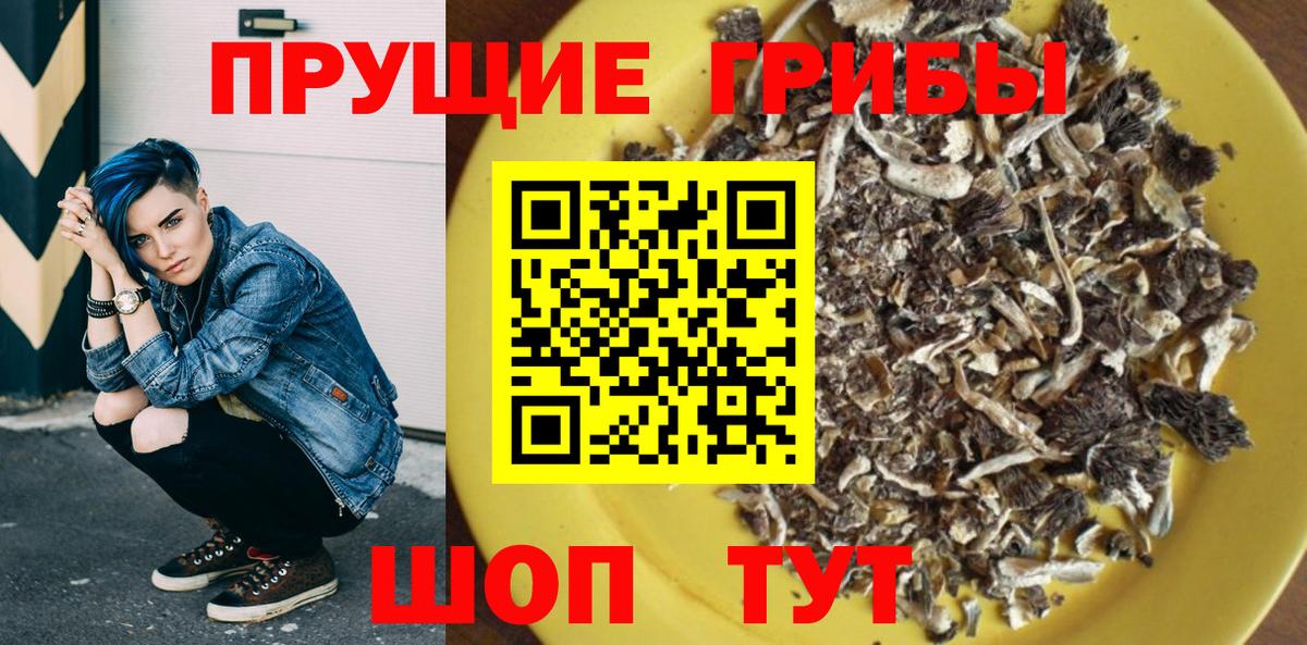 Псилоцибиновые грибы Cubensis  Псилоцибиновые грибы Psilocybine cubensis  Вход с VPN  Полысаево 