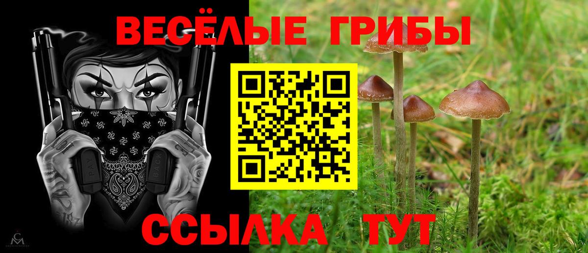 Псилоцибиновые грибы прущие грибы Полысаево