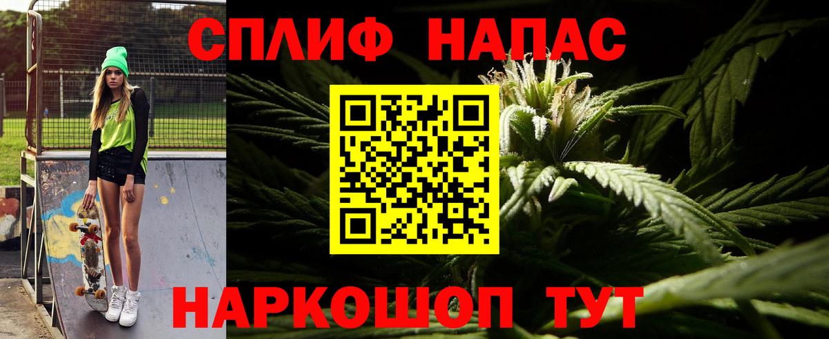 Каннабис индика Полысаево